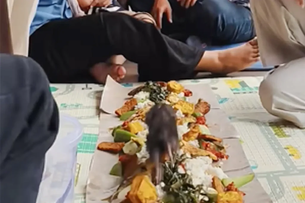 Makanan Diinjak Tikus