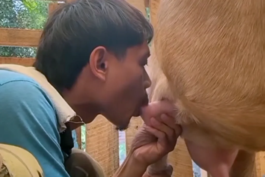 Minum Susu Kambing