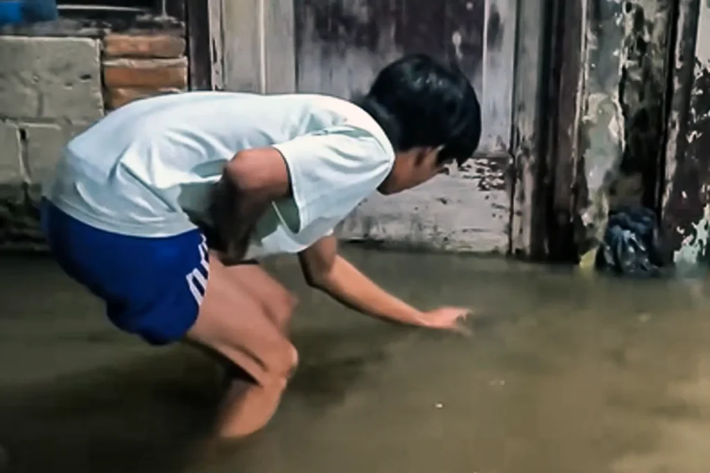 Tangkap Ular Besar