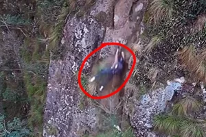 Pendaki Wanita Terjatuh