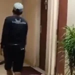 King Cobra Masuk Kantor