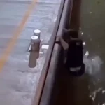 Pria Kecebur Kapal