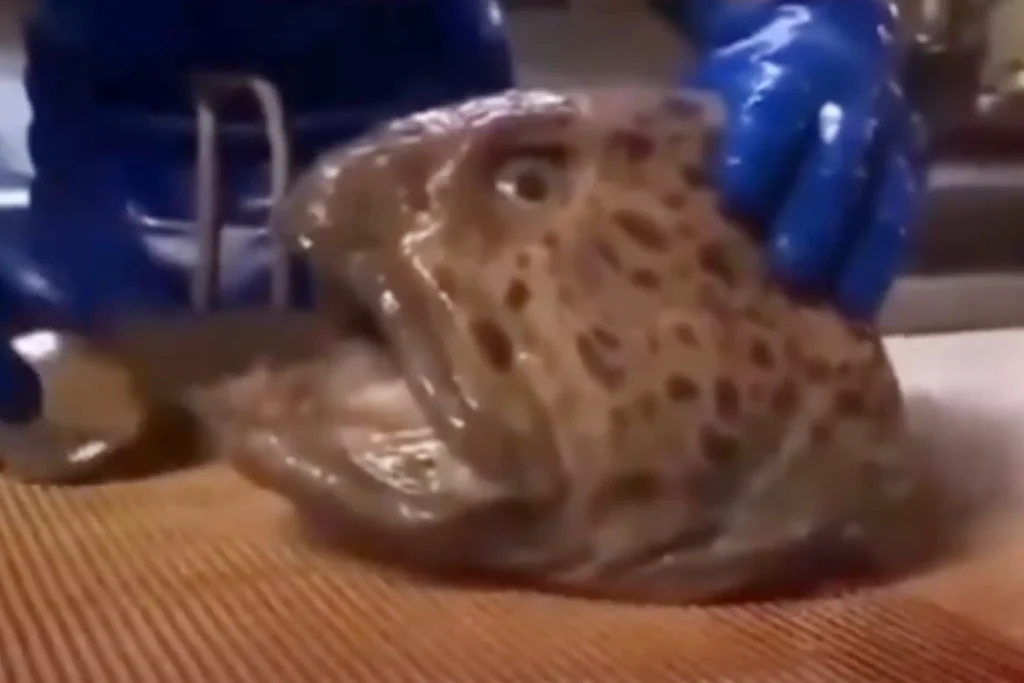 Ikan Mematikan